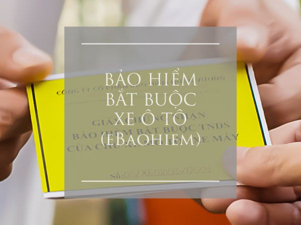 Bao-hiem-bat-buoc-xe-oto_3