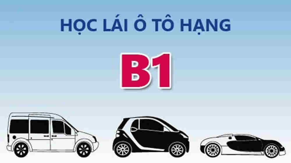 Kinh-nghiem-hoc-bang-lai-xe-B1_6